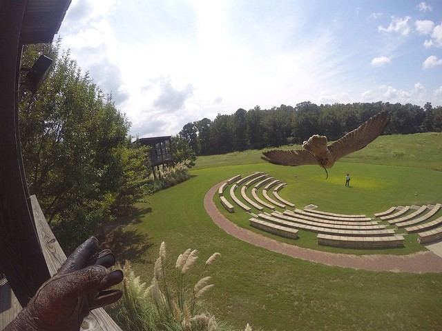 A raptor flies over the Southeastern Raptor Center's amphitheater.