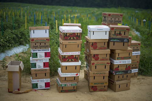 Empty boxes sit waiting for U.S. Department of Agriculture volunteers