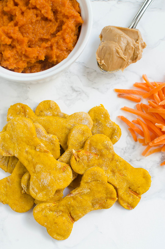 Pumpkin Carrot Dog Treats - homemade dog treats made with pumpkin puree and shredded carrots. Your pup is going to love these!