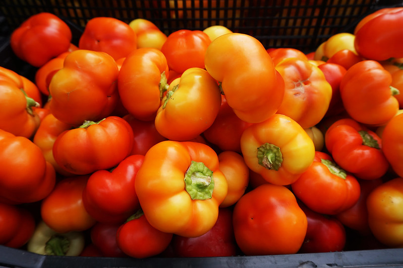 red and orange tomatoes