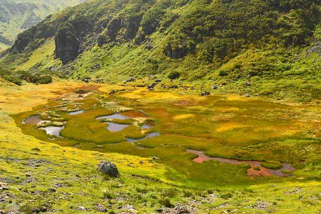 立山室堂　湿原と草紅葉