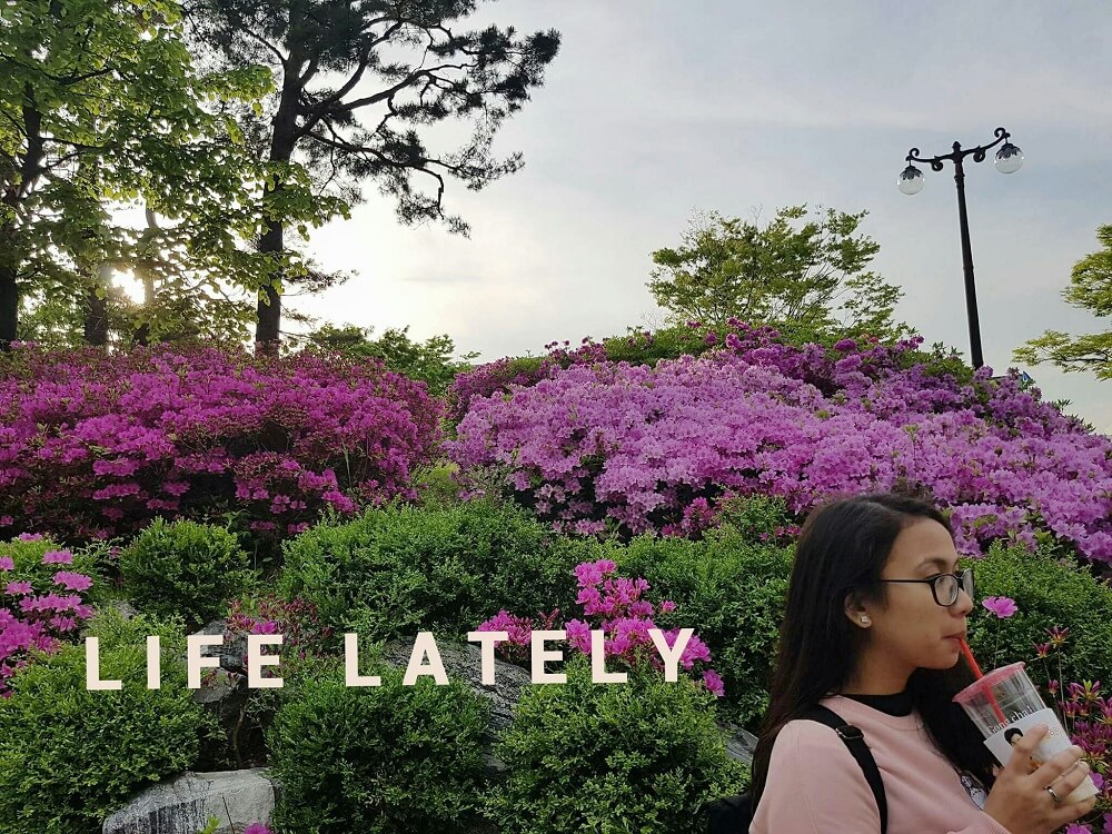 Life Lately - August