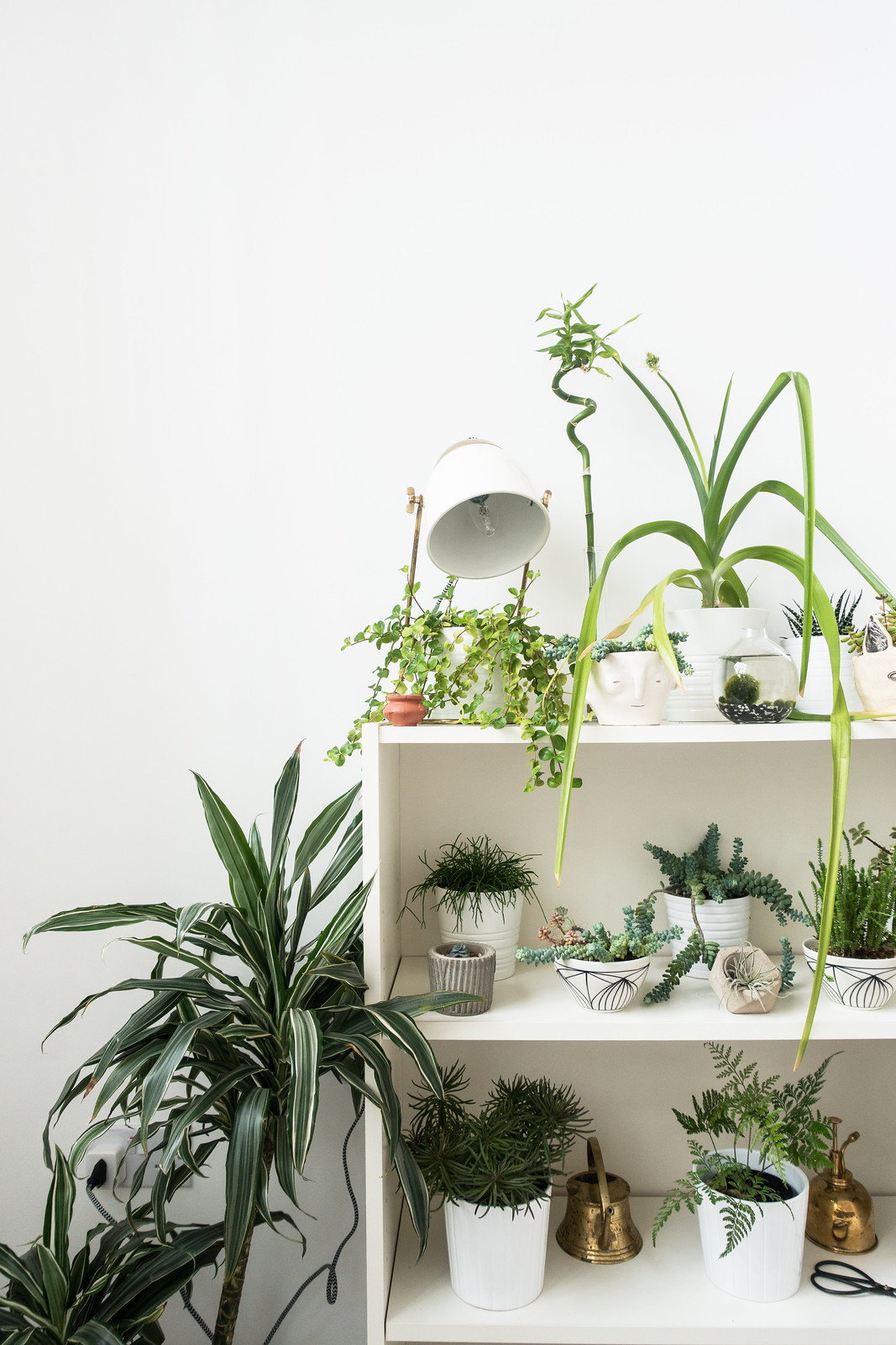 The Best Ways To Display Indoor Plants