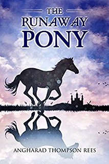 The Runaway Pony by Angharad Thompson Rees