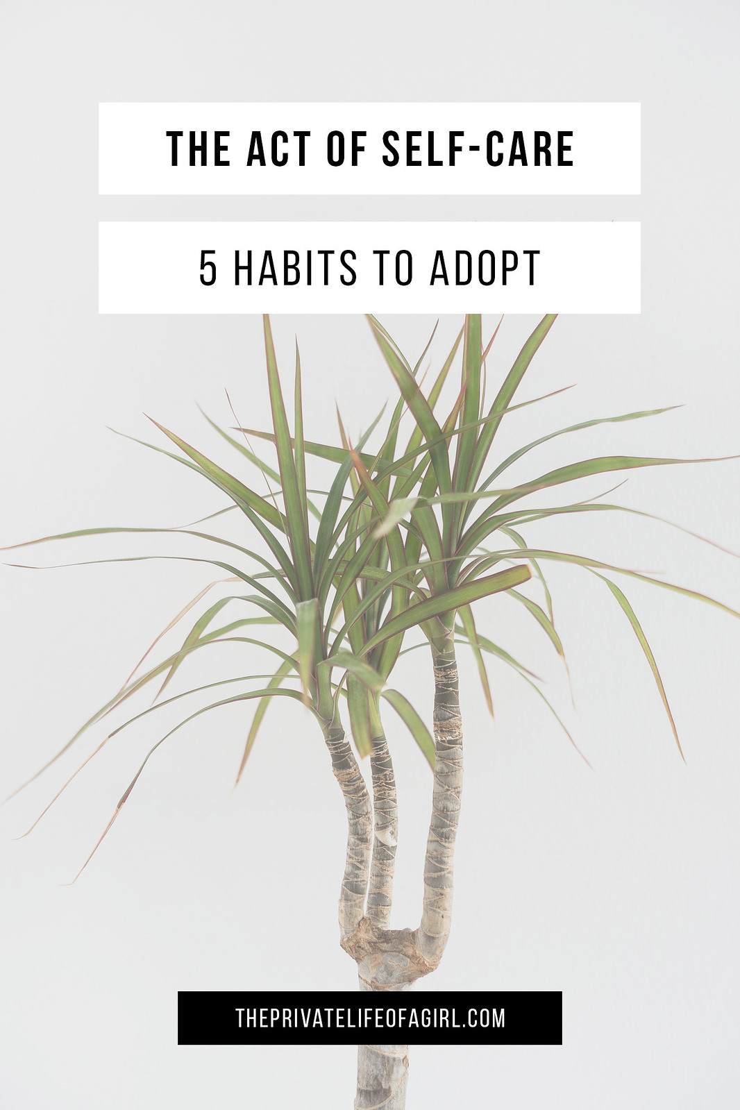 The Act of Self Care: 5 Crucial Habits To Adopt