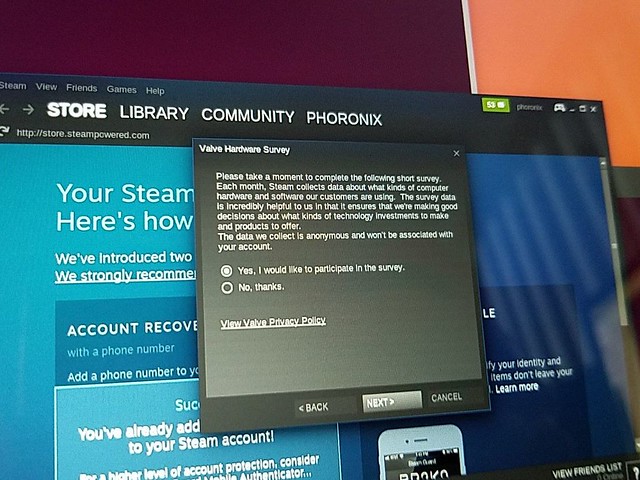 Steam-GNU-Linux