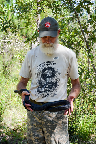 James Godwin holding an Eastern indigo snake