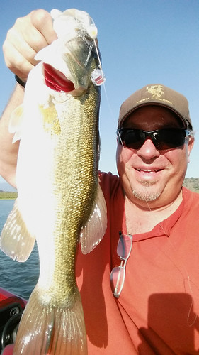 Lake Casitas 3.5 Pounder on a Yo-Zuri Knuckle Bait