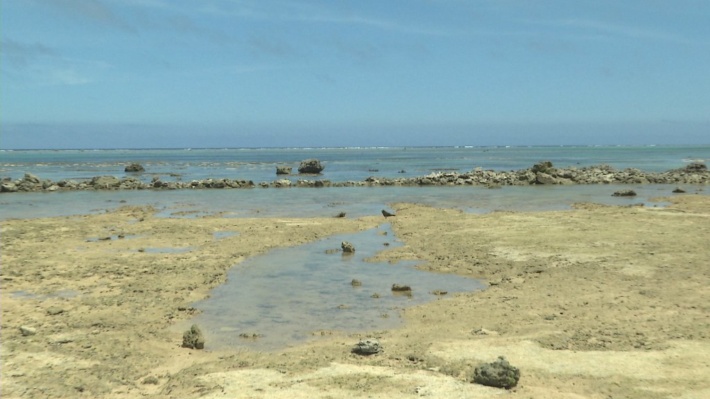 921-2-19 岸邊用珊瑚礁石圍起來的半圓形區域，是白保居民的傳統捕魚裝置魚垣。