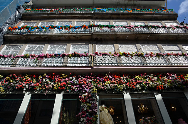 Flowers on Rua das Flores, Porto