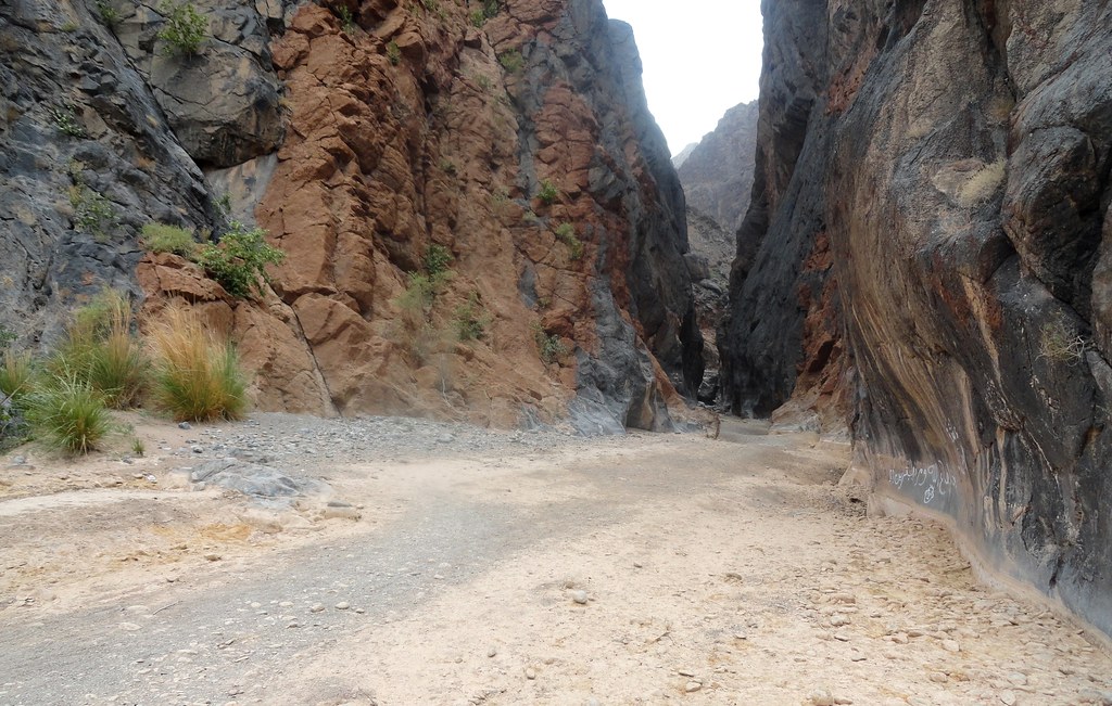 Wadi Bani Awf, Oman | 4WD Road in Wadi Bani Awf, Oman | Fabio Achilli