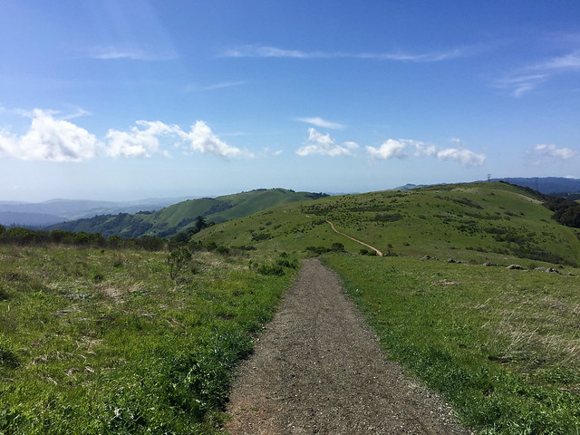 Ridge Trail (I)