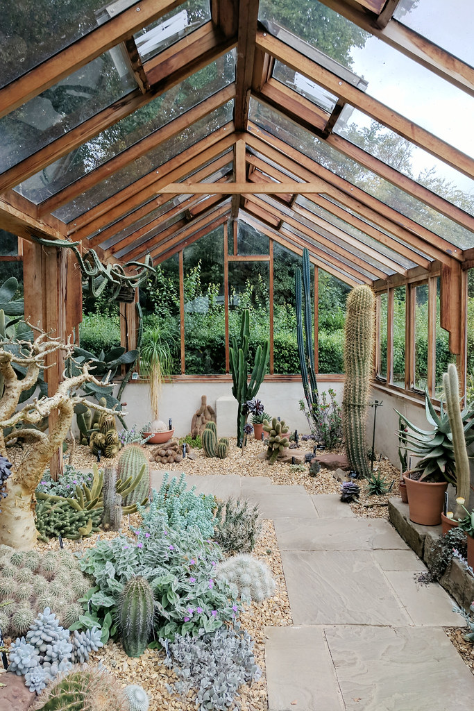 My Favourite Places To Buy Plants