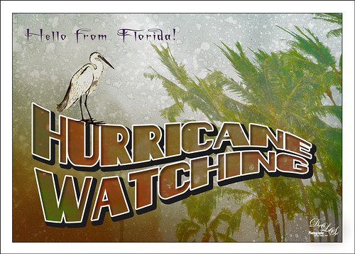Postcard about Hurricane Watching in Florida