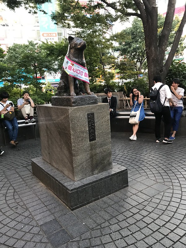 Hachi Dog, Shibuya