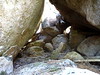 Abri sous roche à la confluence Frassiccia