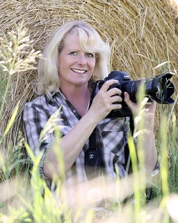 Linda Finstad, Equine Photographer, Author and Educator