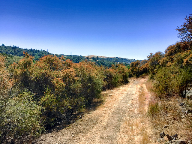 Page Mill Trail (D)