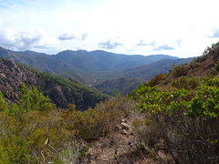 Bocca di Ricu : la vallée du Cavu vers l'aval