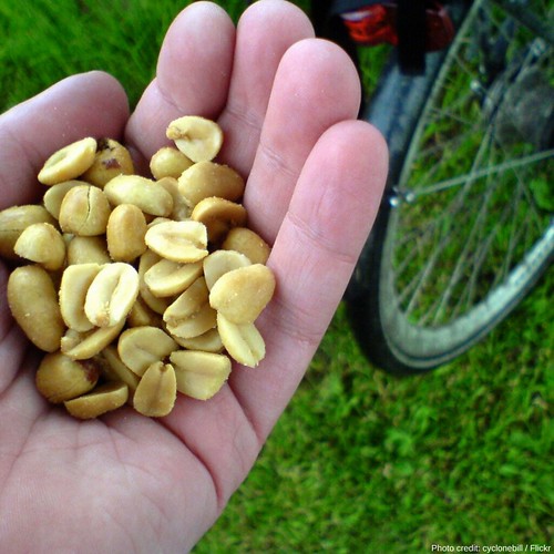 A person holding peanuts