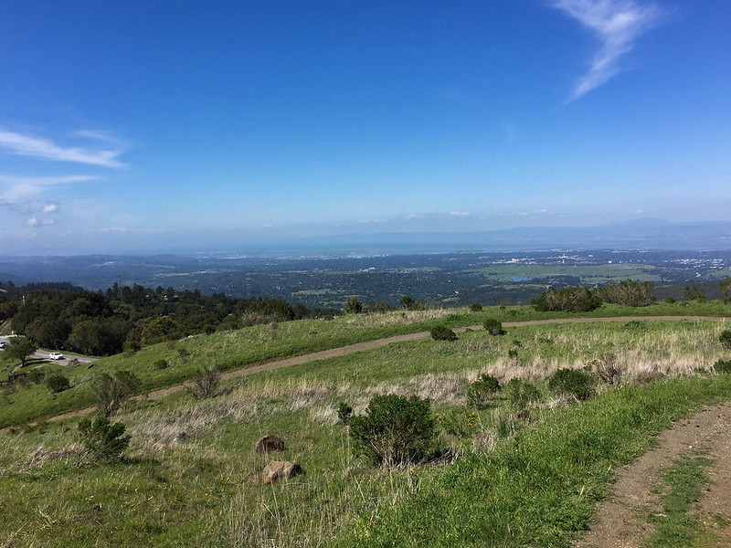 Ridge Trail/Borell Hill