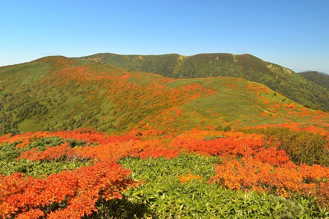 覘標ノ台から源太ヶ岳方面の稜線と紅葉