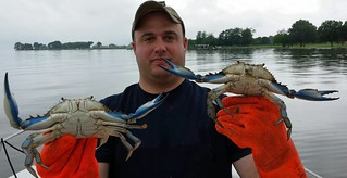 Ben Zero holds up a big pair of hefty crabs