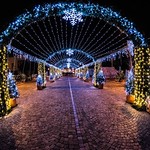 wintermas_lights_by_radu_galan