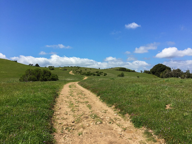 Ridge Trail (B)