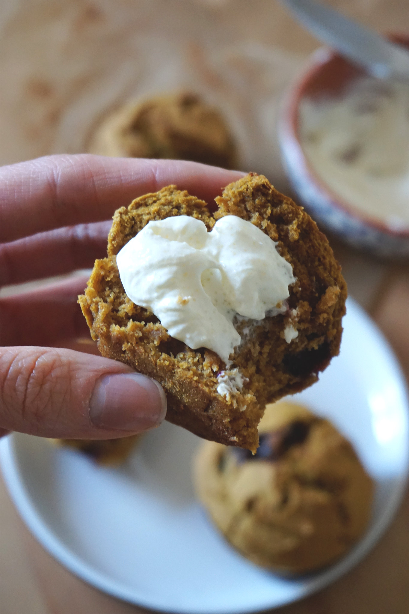 Gluten free blueberry pumpkin muffins with a sweetened cream cheese spread