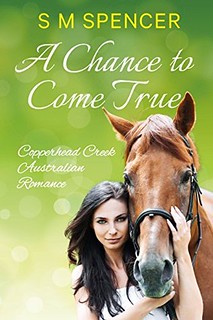 A Chance to Come True by S M Spencer