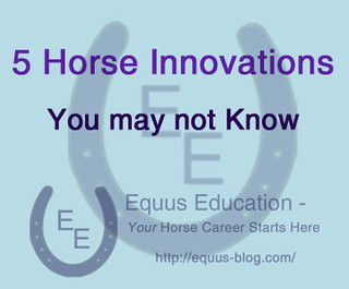 5 Horse Innovations You may not Know | Equus Education
