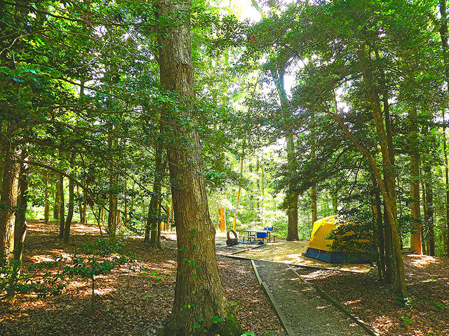 Escape to one of the three campgrounds including group camps at Westmoreland State Park