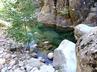 Retour dans le ruisseau de la Carciara