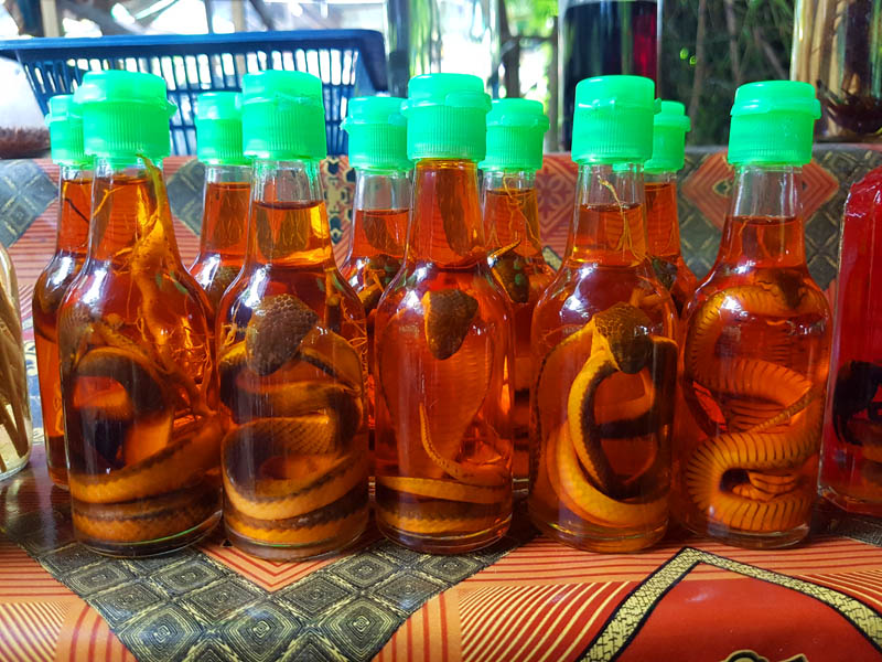 Snake and Scorpion Wine to Avoid For Travelers in Laos