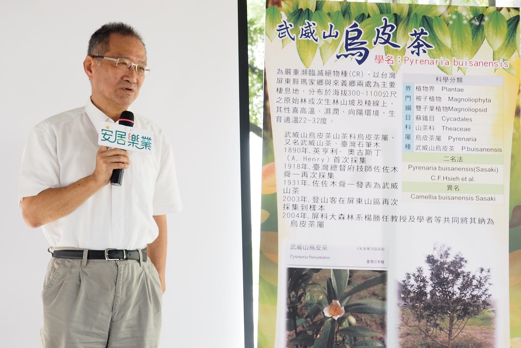 辜嚴倬雲植物保種中心執行長李家維介紹武威山烏皮茶的復育過程。攝影：李育琴。