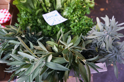 Grenoble fresh market plants