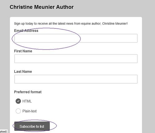 Creating a Welcome Email for Your Equine Author Mailing ...