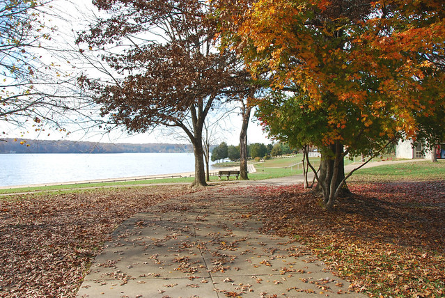 You can sit right here on this bench overlooking the lake from this accessible path at Lake Anna State Park, Va