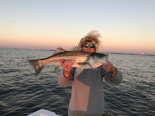 Photo of Angler holding a striped bass