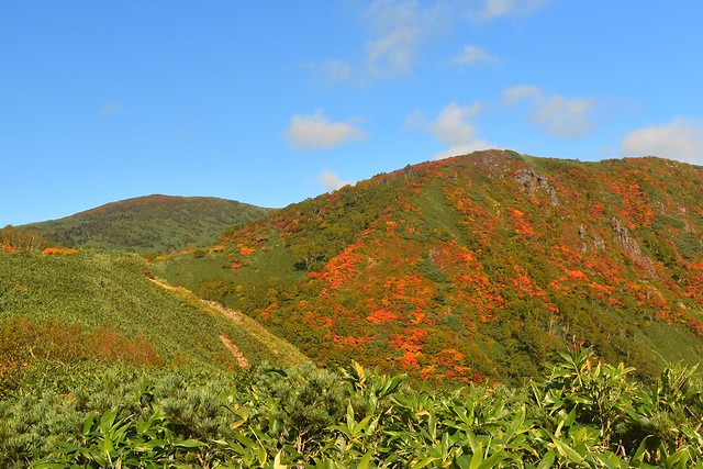 リフト乗り場展望台から犬倉山の紅葉と姥倉山
