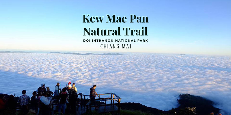 Kew Mae Pan Natural Trail Chiang Mai