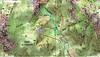 Carte IGN du secteur Figa Bona - Carciara en aval de la brèche du Carciara d'Aragali avec les tracés des différents chemins