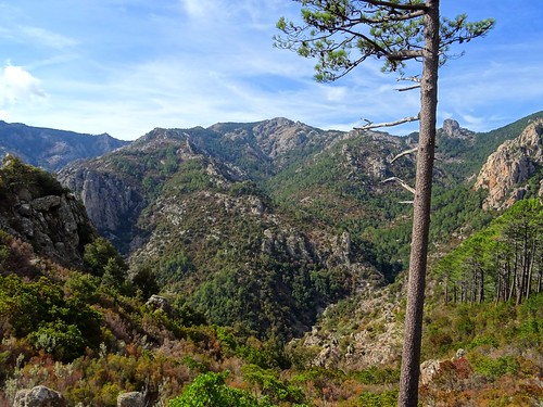 Bocca di Ricu : le haut du Finicione, le Castellucciu, Monte Calva, le ruisseau et la crête de Quarciteddu