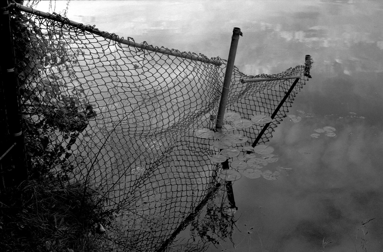 fence | by Paul Lundberg