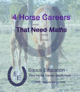 4 Horse Careers that Need Maths | Equus Education
