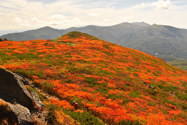 三ツ石山から望む秋田駒ヶ岳と紅葉
