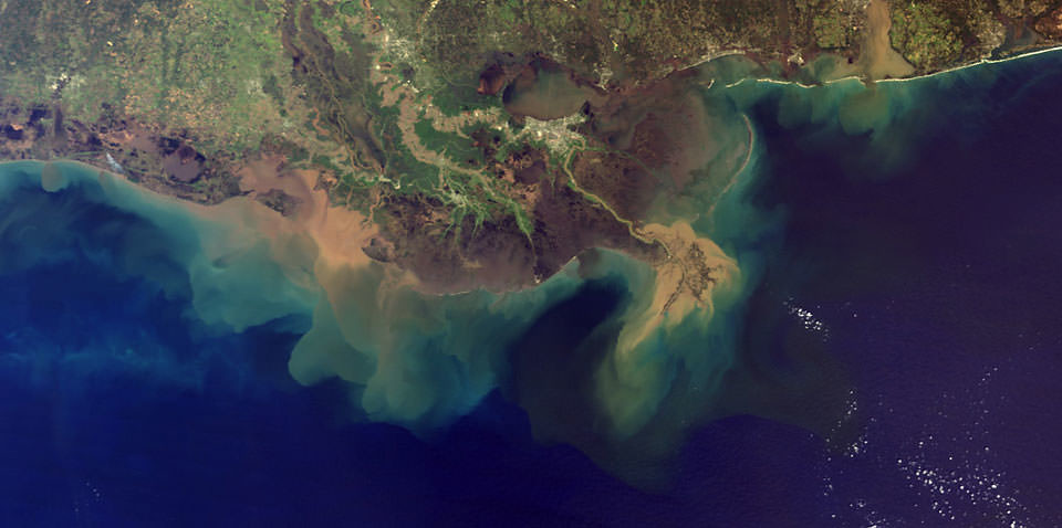 Image result for mississippi river dead zone