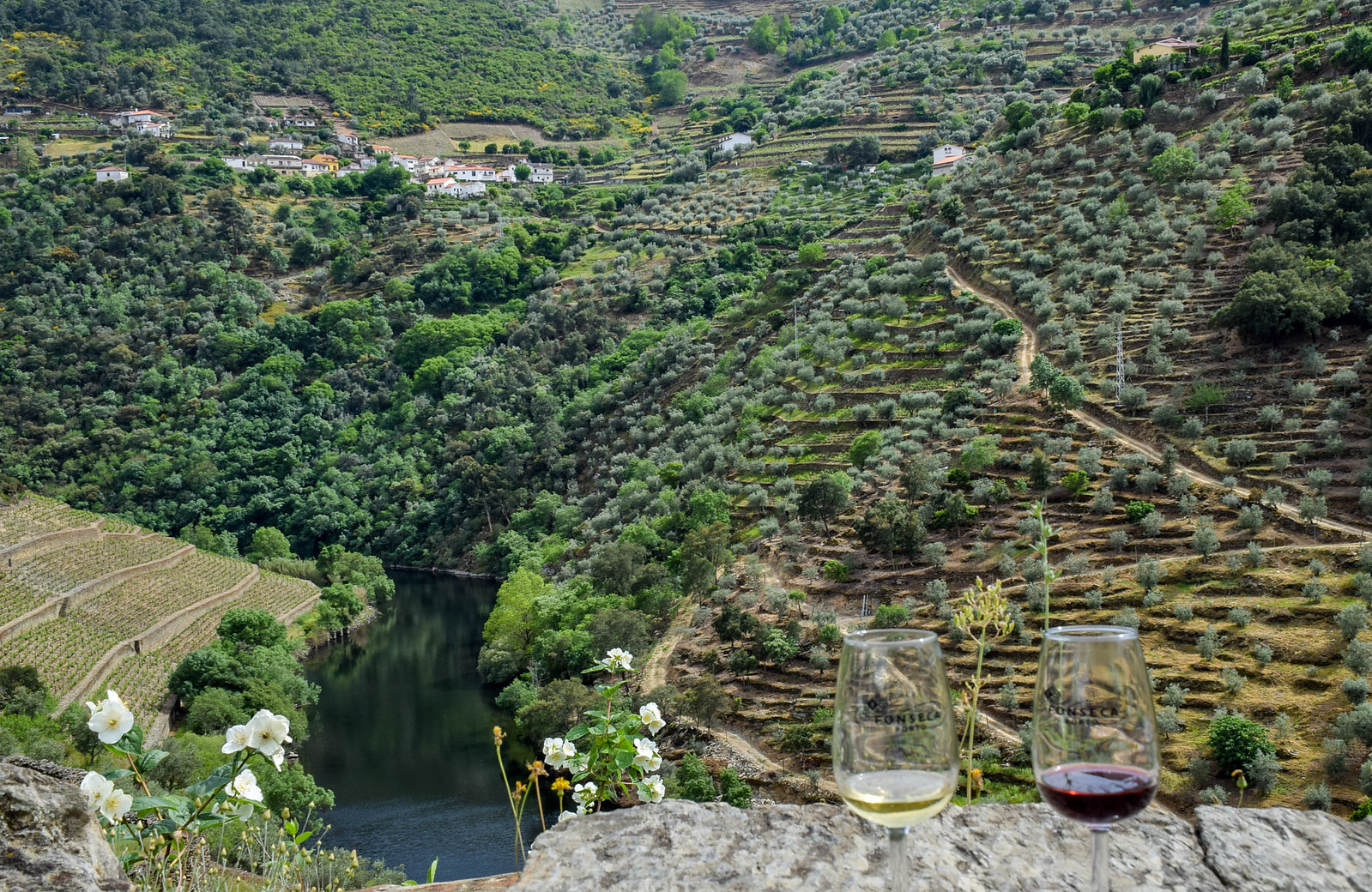 Best tour of the Douro Valley