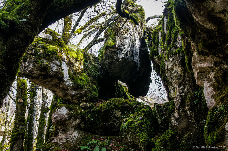 Roca levitando en el Bosque Encantado de Urbasa